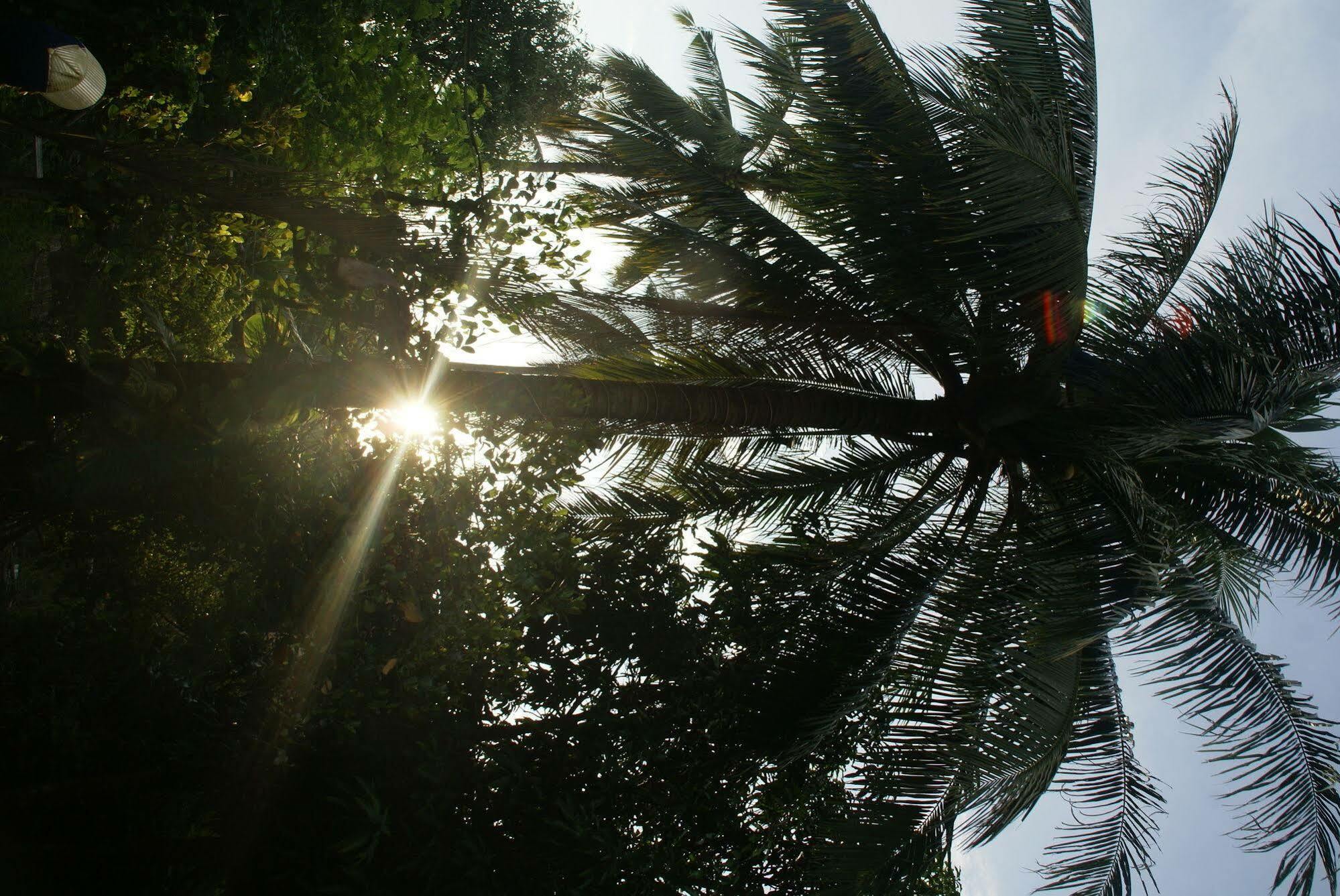 Paradise Eco Resort - เสียมราฐ ภายนอก รูปภาพ